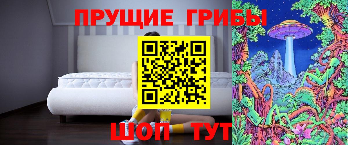 Галлюциногенные грибы Psilocybe Ростов-на-Дону