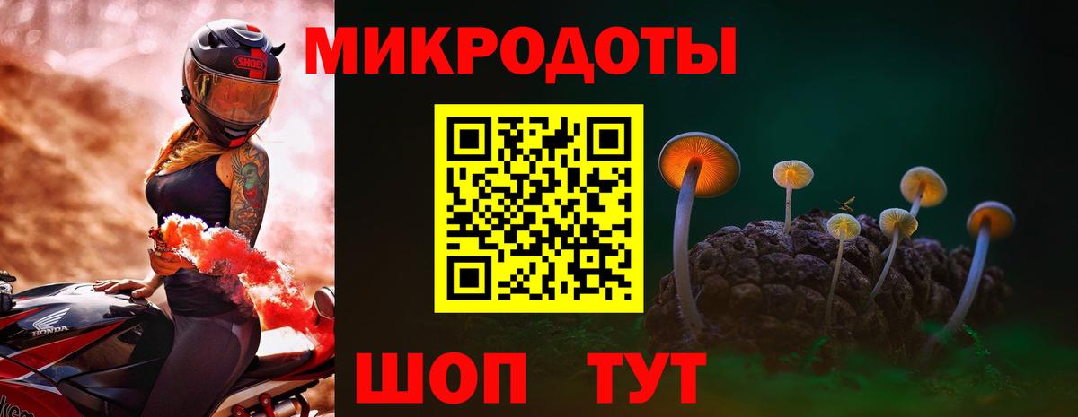 Галлюциногенные грибы Psilocybine cubensis  купить наркотики сайты  Ростов-на-Дону  Вход с VPN 